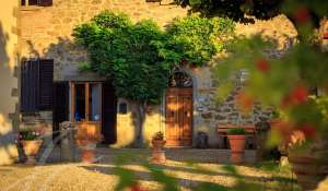Sale Vineyard property Greve in Chianti