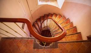 Sale Vineyard property L'Isle-sur-la-Sorgue