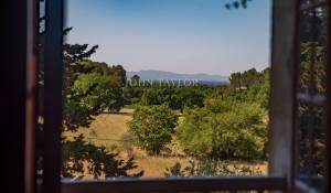 Sale Vineyard property L'Isle-sur-la-Sorgue