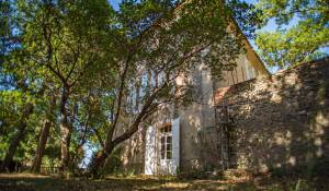 Sale Vineyard property L'Isle-sur-la-Sorgue