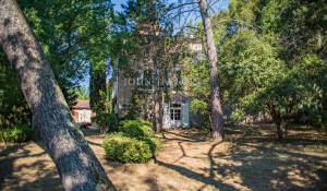 Sale Vineyard property L'Isle-sur-la-Sorgue