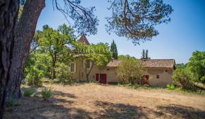 Sale Vineyard property L'Isle-sur-la-Sorgue