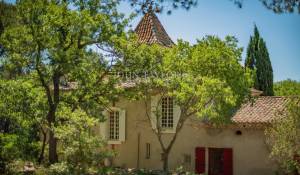 Sale Vineyard property L'Isle-sur-la-Sorgue