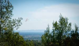 Sale Vineyard property L'Isle-sur-la-Sorgue