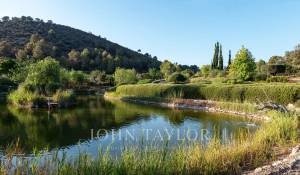 Sale Vineyard property Palma de Mallorca