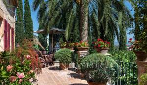 Sale Vineyard property Palma de Mallorca