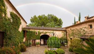 Sale Vineyard property Palma de Mallorca