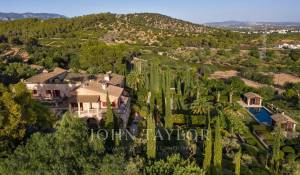 Sale Vineyard property Palma de Mallorca