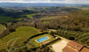 Sale Vineyard property Siena