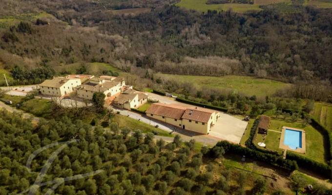 Sale Vineyard property Siena