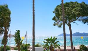 Seasonal rental Apartment Cannes