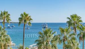 Seasonal rental Apartment Cannes