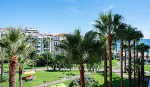 Seasonal rental Apartment Cannes
