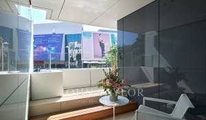 Seasonal rental Apartment Cannes