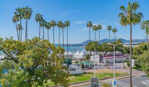 Seasonal rental Apartment Cannes