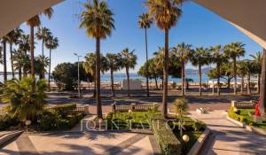 Seasonal rental Apartment Cannes