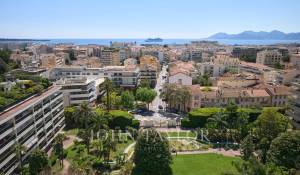 Seasonal rental Apartment Cannes
