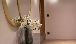 Seasonal rental Chalet Gstaad