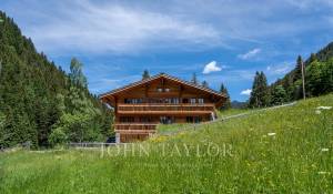 Seasonal rental Chalet Gstaad