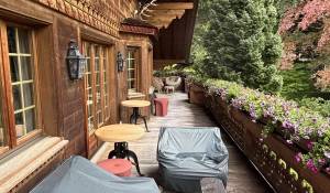 Seasonal rental Chalet Gstaad