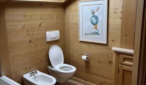 Seasonal rental Chalet Gstaad