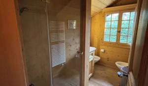 Seasonal rental Chalet Gstaad