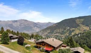Seasonal rental Chalet La Tzoumaz
