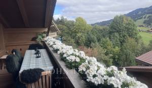 Seasonal rental Chalet Schönried