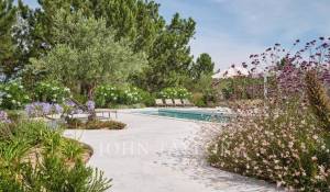 Seasonal rental House Carvalhal