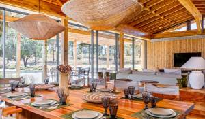 Seasonal rental House Carvalhal