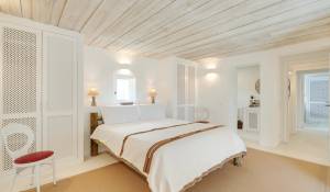 Seasonal rental House Carvalhal