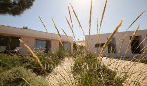 Seasonal rental House Carvalhal
