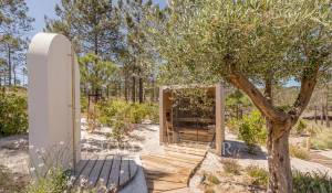 Seasonal rental House Carvalhal