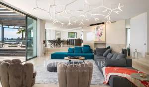 Seasonal rental Property Cannes