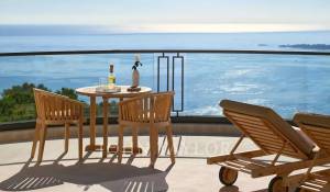 Seasonal rental Property Cannes