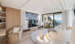 Seasonal rental Property Cannes