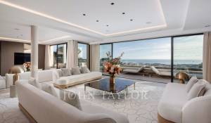 Seasonal rental Property Cannes