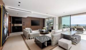 Seasonal rental Property Cannes