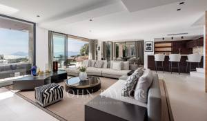 Seasonal rental Property Cannes