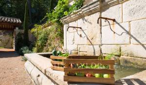 Seasonal rental Property Gassin