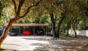 Seasonal rental Property La Colle-sur-Loup