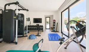 Seasonal rental Property Tourrettes