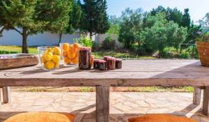 Seasonal rental Villa Es Cubells