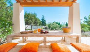 Seasonal rental Villa Es Cubells