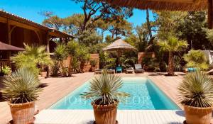 Seasonal rental Villa Lège-Cap-Ferret
