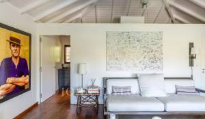 Seasonal rental Villa Marigot