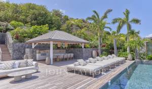 Seasonal rental Villa Marigot