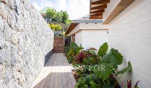 Seasonal rental Villa Saint-Barthélemy