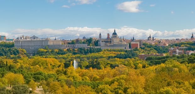 luxury real estate agency MADRID - POZUELO