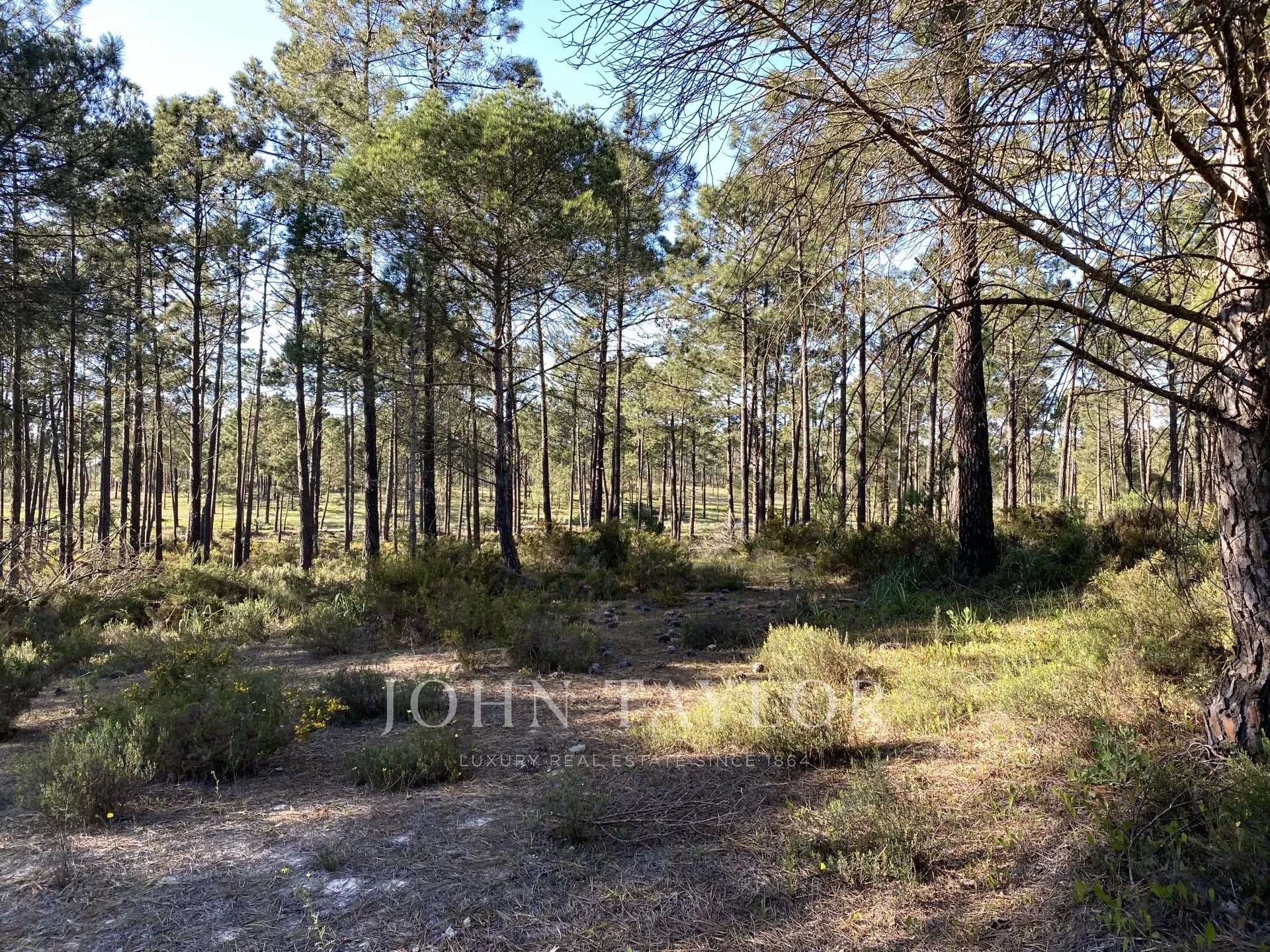 Land for sale in Alcácer do Sal, Portugal — €800,000